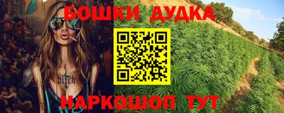 хмурый Тула