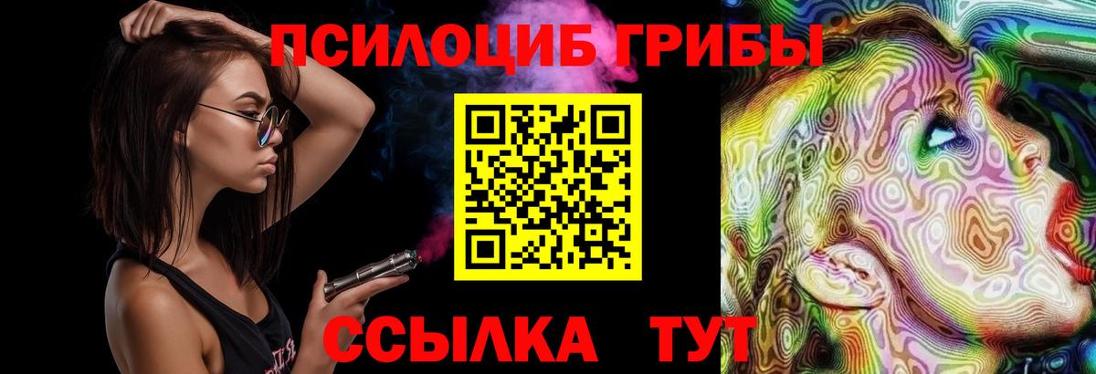 Галлюциногенные грибы Cubensis  Вход с VPN  Муравленко 